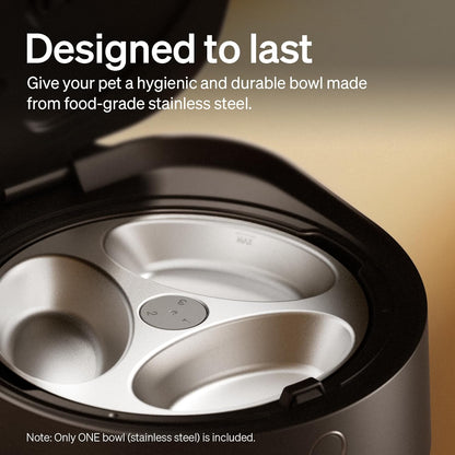 Automatic Wet Cat Feeder